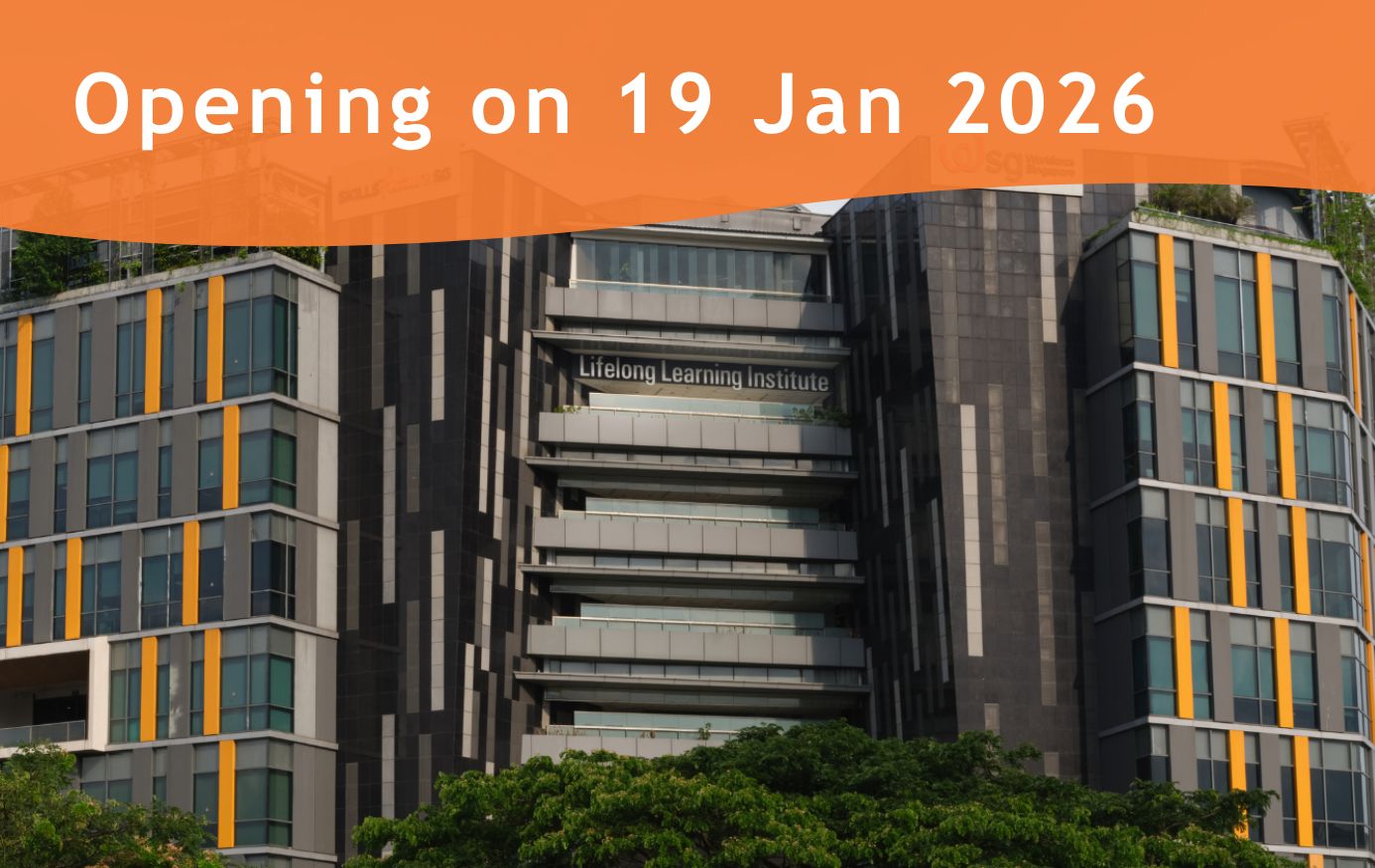 Website - STA images (8)